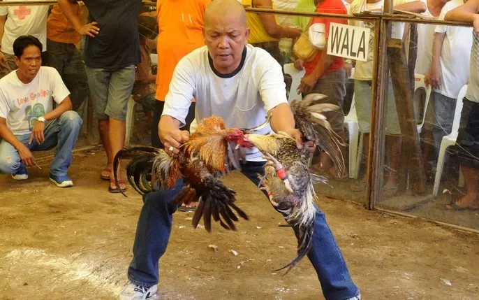 Bí Quyết Ứng Biến Và Điều Chỉnh Chiến Thuật Trong Từng Hiệp Đấu