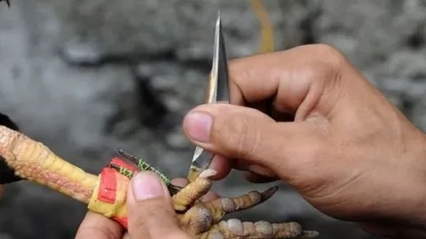 Tiền quấn và cố định