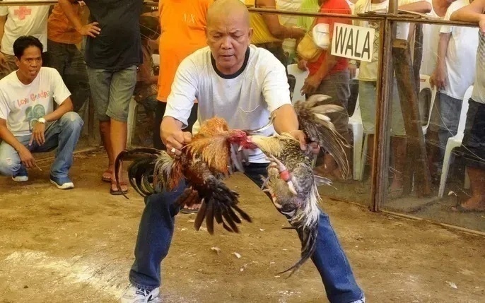 Quy tắc trận – tiêu chí thắng thua – lỗi